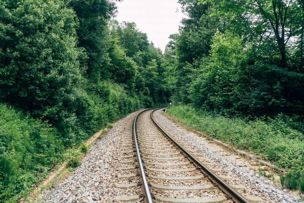 empty rail track surrounded by trees 1024x683 1